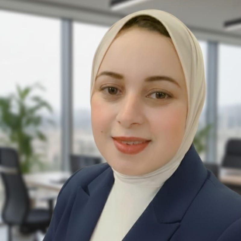 seo hub Sara Elhapashy SEO